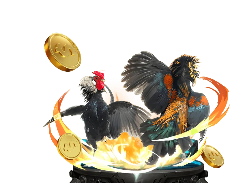 Các Loại Hình Đá Gà Phổ Biến tại VX88